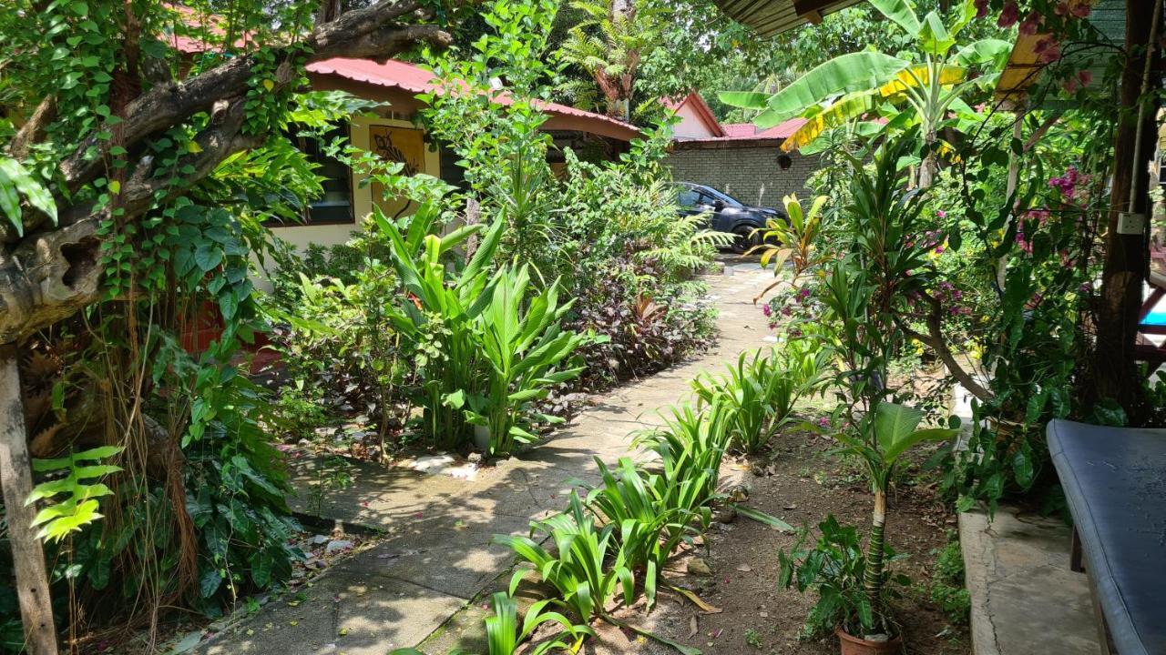 Gecko Guesthouse Пантай-Ченанг Екстер'єр фото