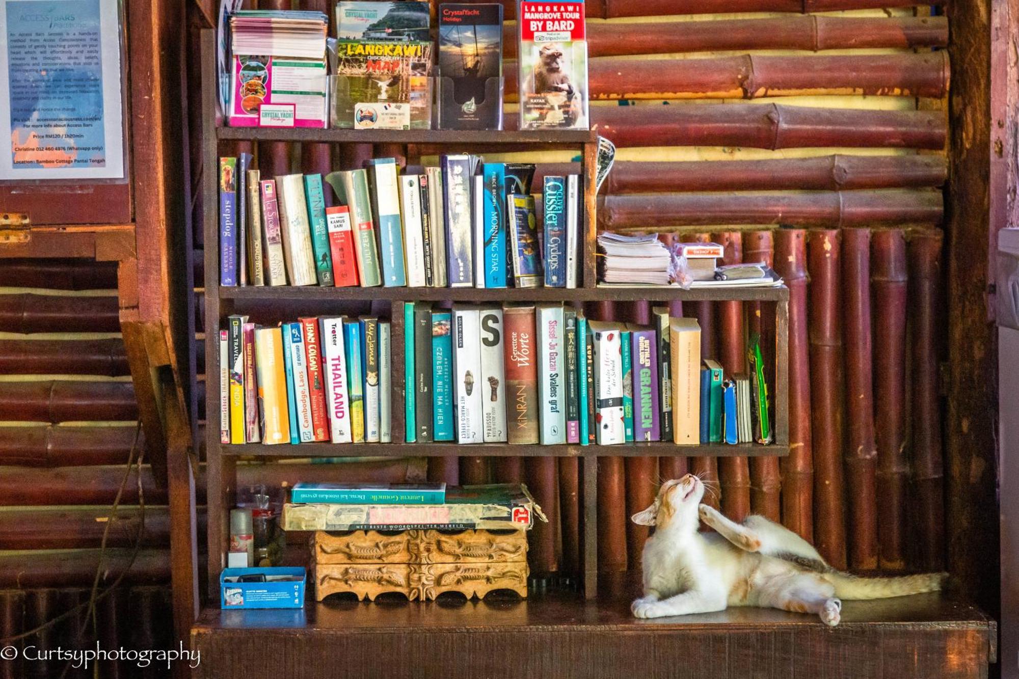 Gecko Guesthouse Пантай-Ченанг Екстер'єр фото